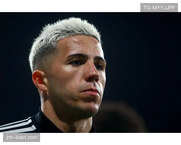 恩佐1.2亿欧元转会标王的价值解析