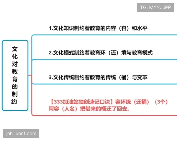 杜埃的战术价值解析：体系适配性如何制约其实际贡献？